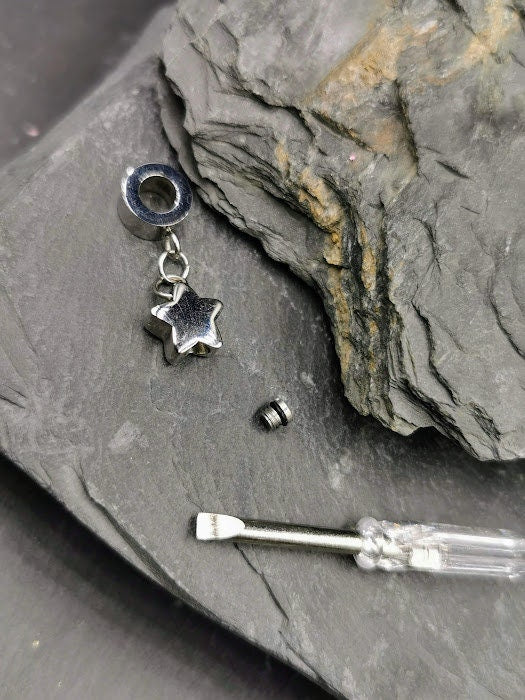 Urne funéraire en forme d'étoile sur bracelet en argent sterling ou cordon végétalien, pour chien, chat, animal de compagnie, mémorial