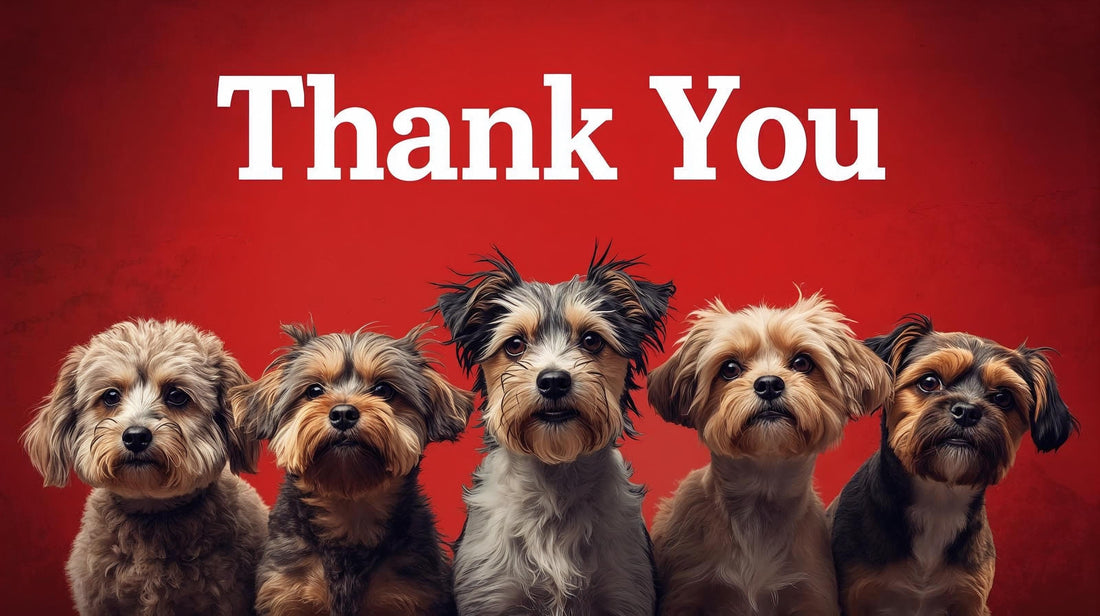 Was für ein Jahr... unser Rückblick