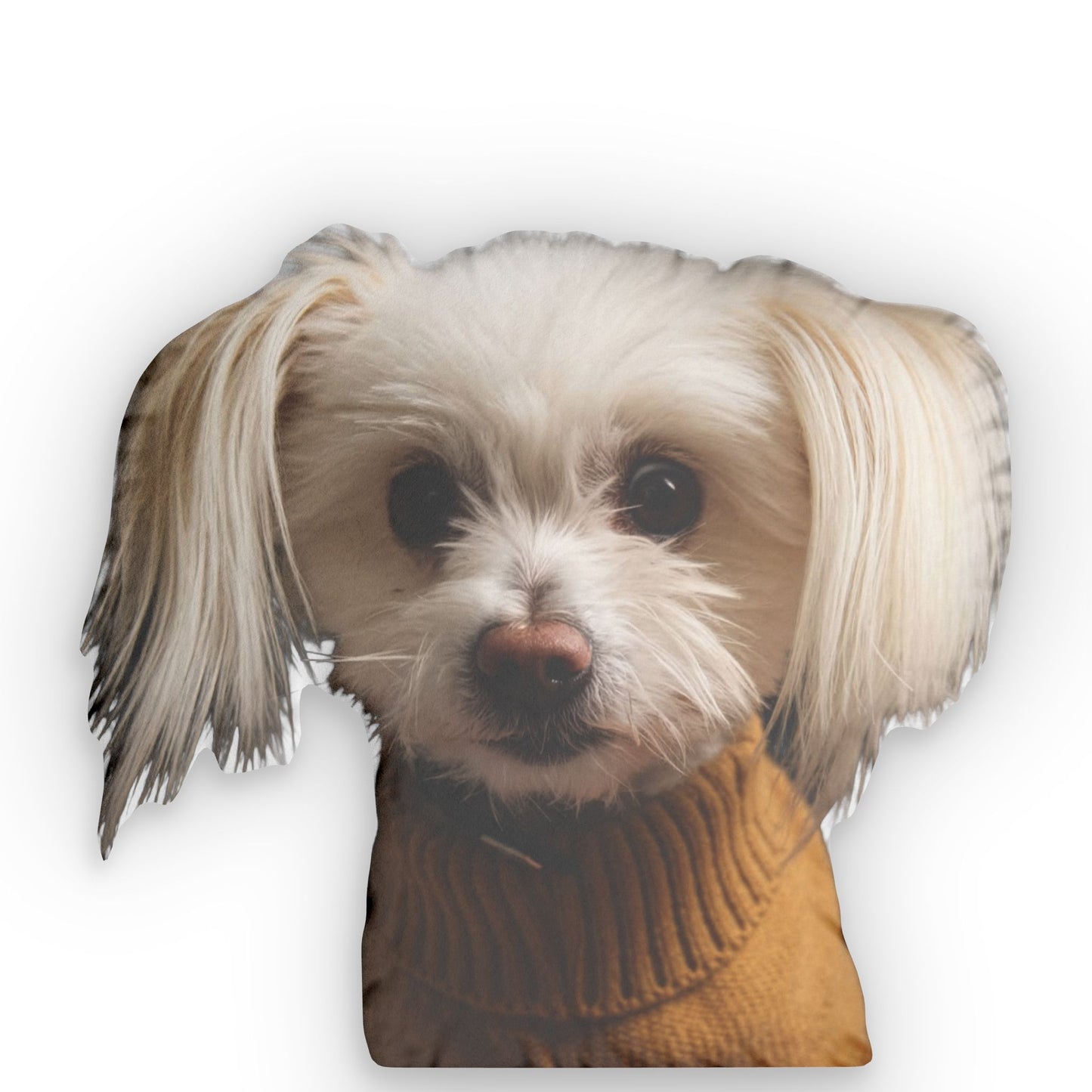 Das "Ugly Pillow" – Dein Lieblingsgesicht als Kuschelkissen