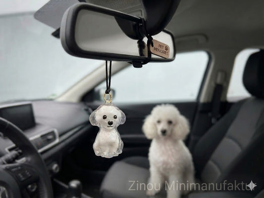 Transparenter Hundeanhänger in Pudelform gefüllt mit weißem Fell, hängend am Rückspiegel im Auto vor einem weißen Pudel auf dem Beifahrersitz