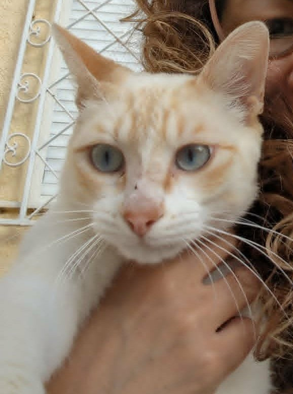 Bumi