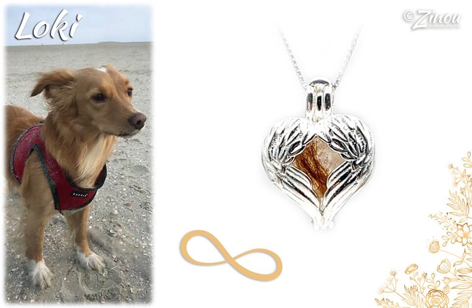 Engelrufer Herz-Anhänger mit Flügeln gefüllt mit Fell von Hund Loki – Gedenkschmuck von Zinou Minimanufaktur