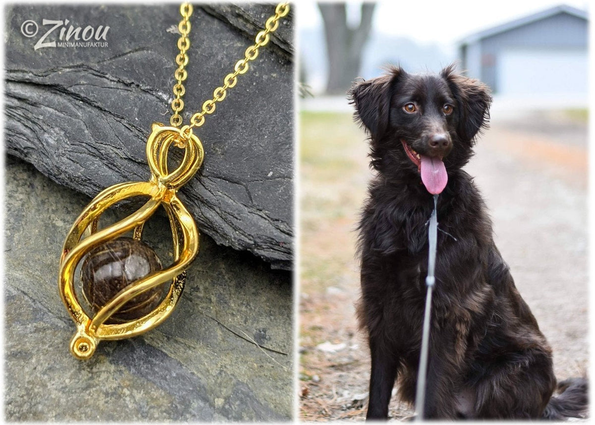 Goldener Engelrufer-Käfig mit brauner Fellperle an Goldkette auf Schieferstein, schwarzer Hund im Hintergrund – Tierhaarschmuck von Zinou Minimanufaktur