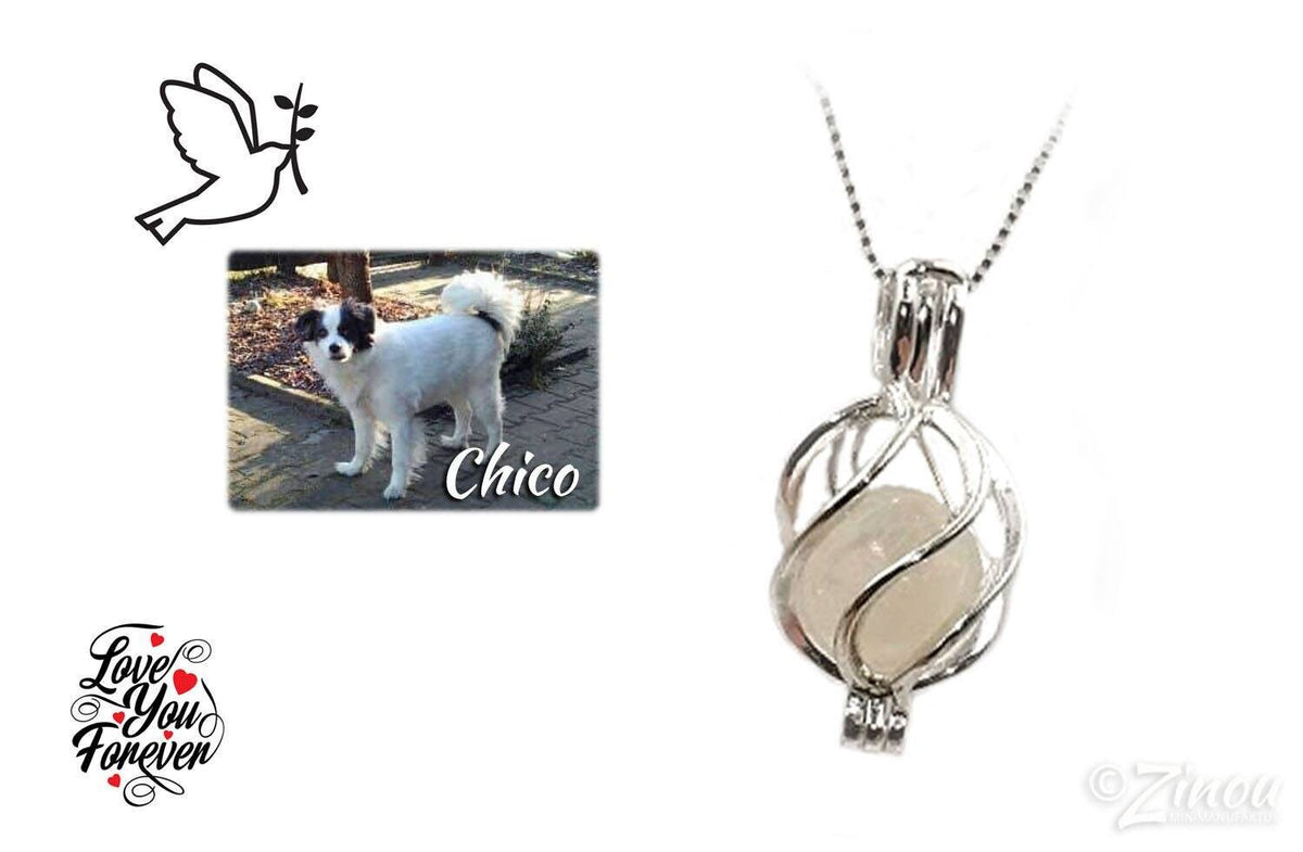 Silberner Engelrufer-Käfig mit weißer Fellperle an Silberkette neben Hundefoto – Gedenkschmuck von Hund Chico von Zinou Minimanufaktur
