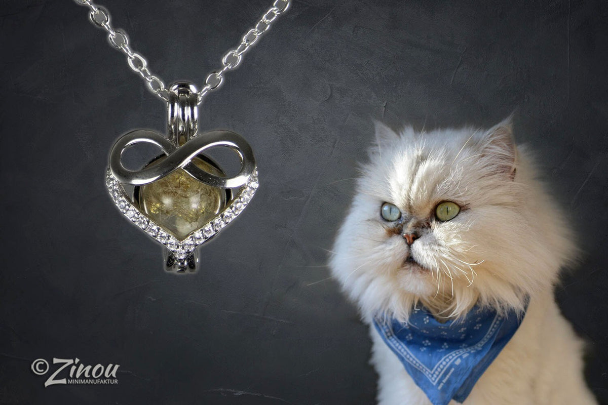 Engelsrufer Infinity-Herzanhänger mit Asche-Perle neben weißer Perserkatze mit blauem Halstuch – Gedenkschmuck von Zinou Minimanufaktur