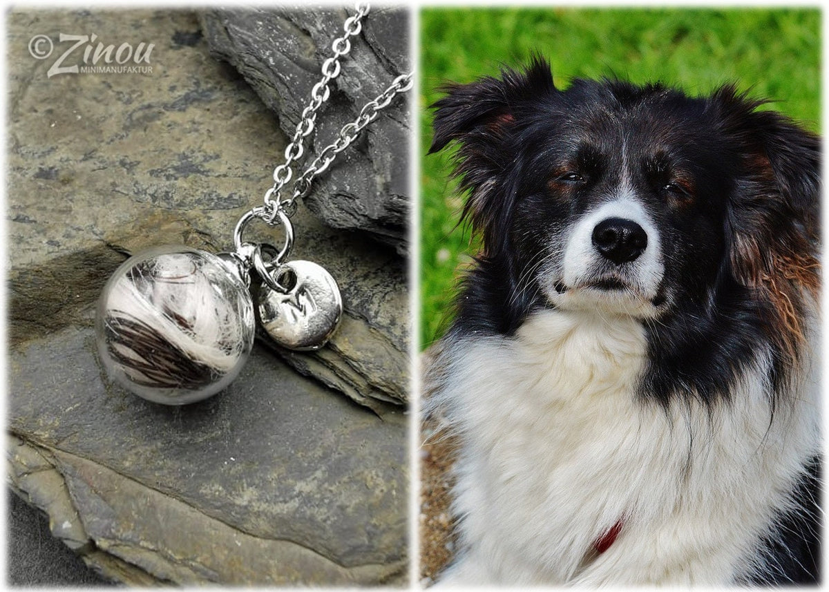 Glasphiole mit Hundehaar und Buchstaben-Charm M an Silberkette auf Schieferstein, daneben Foto des Hundes – personalisierter Gedenkschmuck von Zinou Minimanufaktur