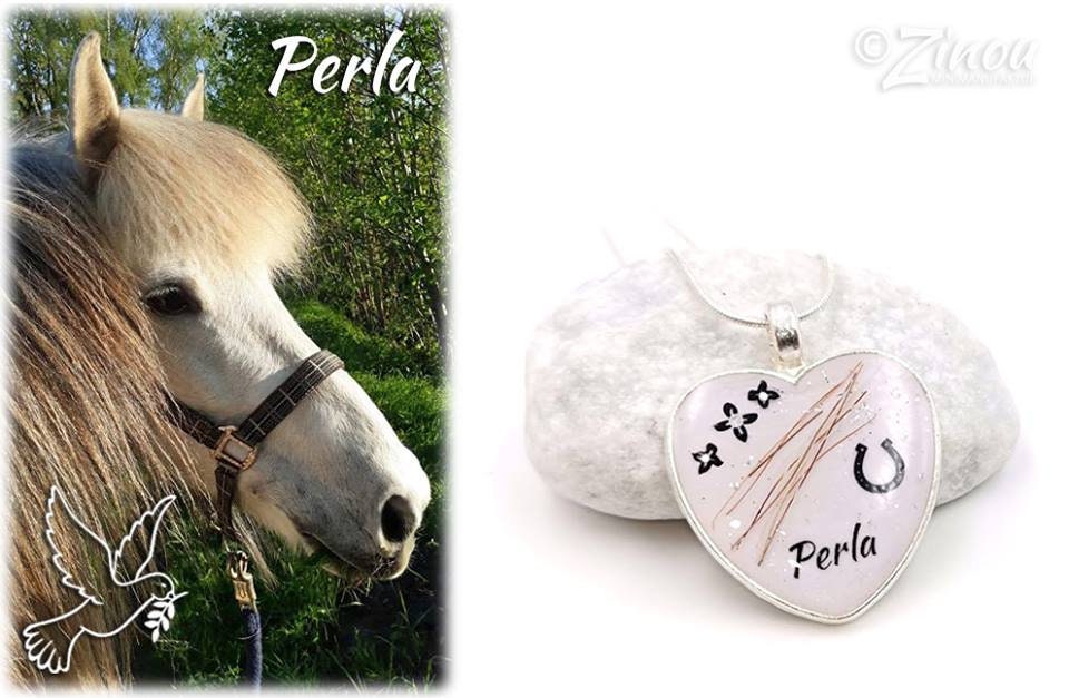 Schluesselanhaenger-Herz-Personalisierter Herz-Schlüsselanhänger mit Pferdehaar, Hufeisen-Motiv und Namen Perla auf weißem Kieselstein, daneben Foto des weißen Pferdes Perla – Gedenkschmuck von Zinou Minimanufaktur