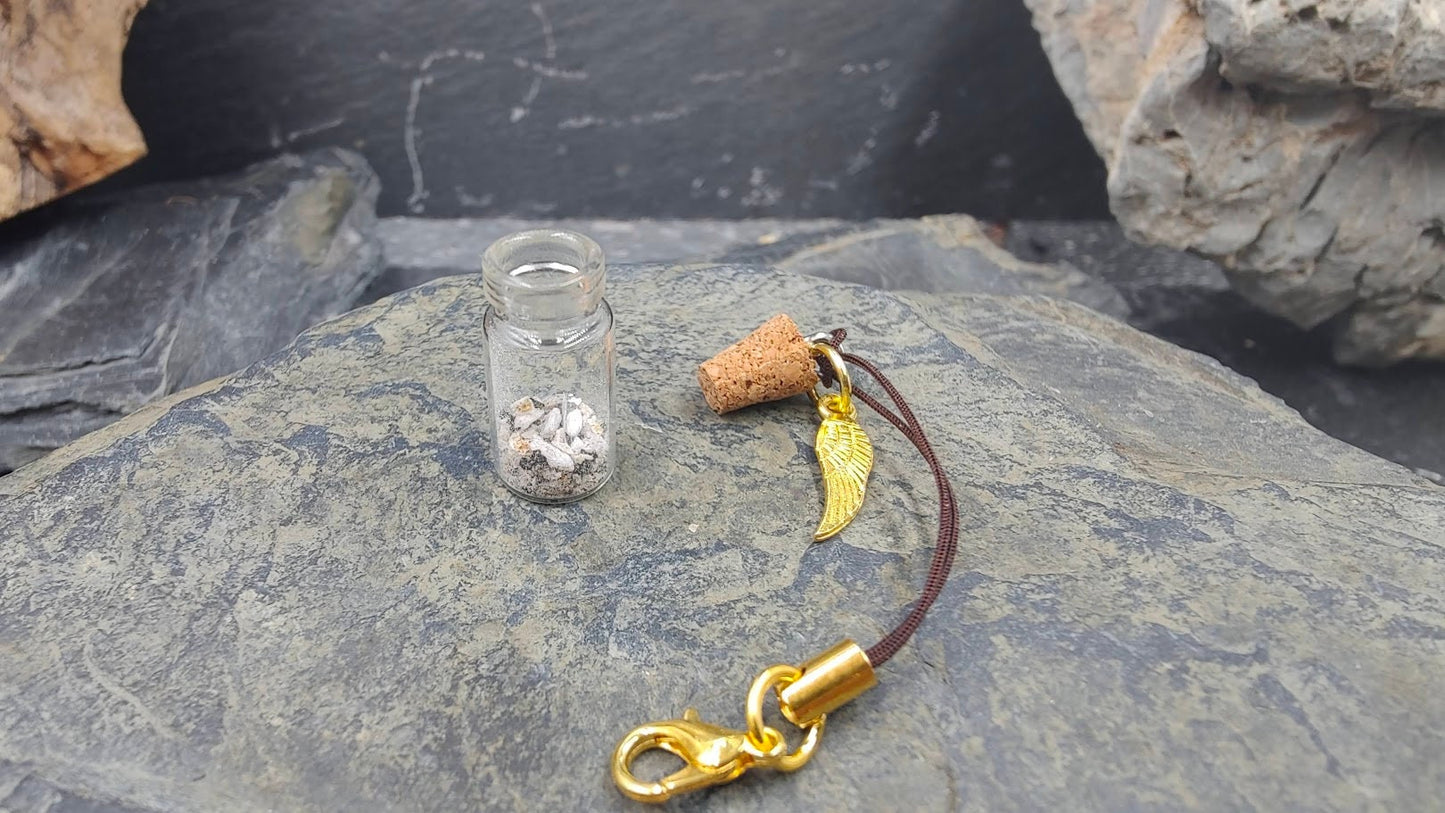 Fiole, bouteille en or avec breloque à remplir soi-même pour fourrure, cendres ou cheveux, sable, boucles, dents, bijoux de mémoire, bijoux commémoratifs,